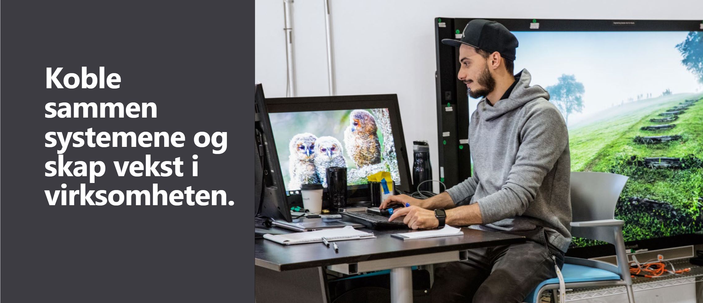 Koble sammen systemene og skape vekst i virsomheten