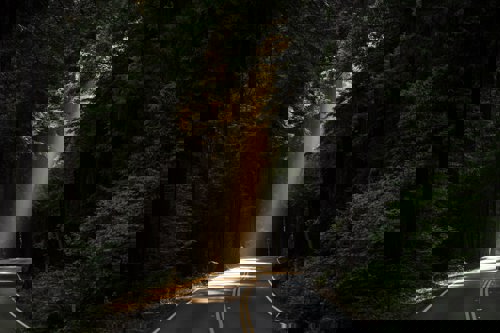 På vei mot nye ERP/CRM-løsning – kjenner du din kritiske vei?